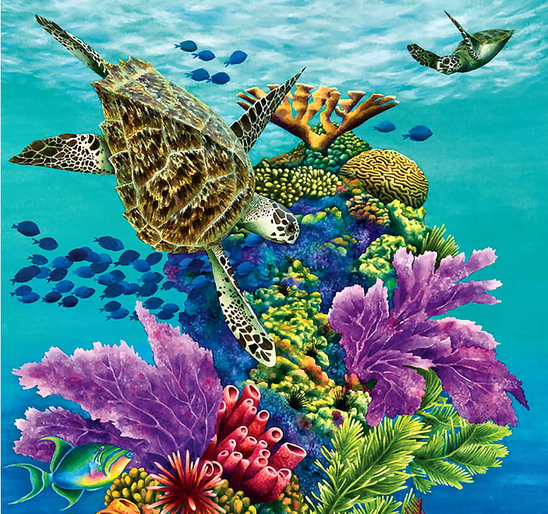 Sea Summit C, art, sea turtles, coral, bonito, turtle, illustration, artwork, painting, wide screen, nature, HD wallpaper