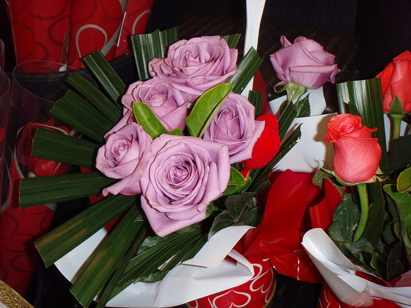 Happy Valentines day from Shell, Nexus, shellandshilo, roses, wedding, graphy, valentines day , flowers, pink, HD wallpaper