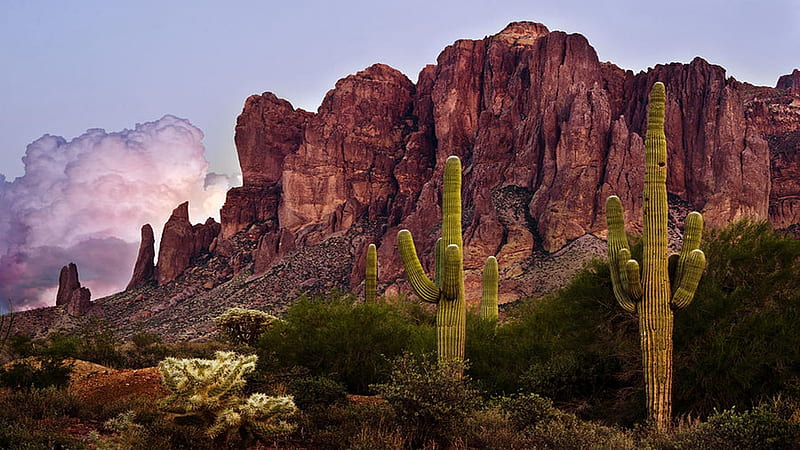 Saguaro Cactus and the Superstition Mountains, Arizona, landscape, sky, rocks, usa, clouds, HD wallpaper