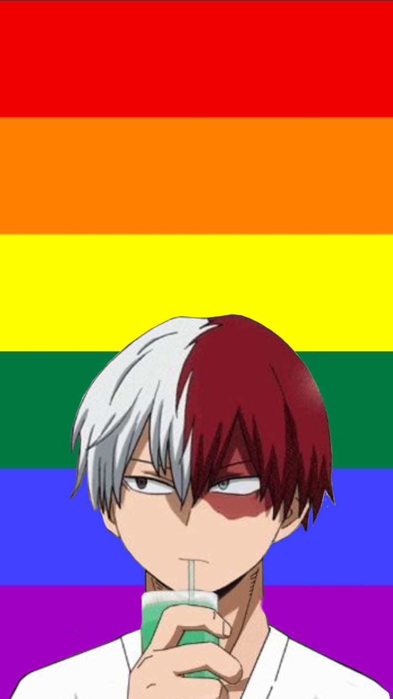 Todoroki Pride, boku no hero, mha, HD phone wallpaper | Peakpx