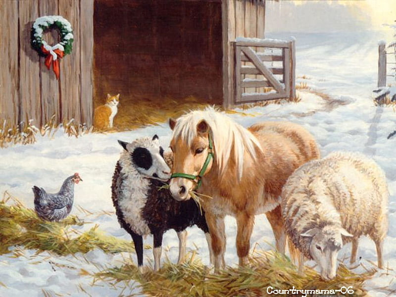 Christmas on the farm, farm, christmas, holiday, lamb, stable, HD wallpaper