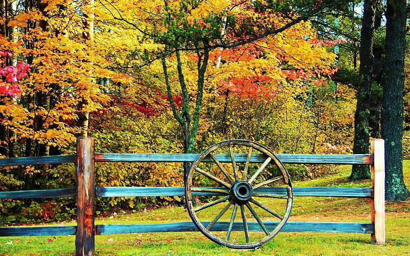 Autumn In The Country, Fall, fence, grass, trees, wagon wheel, wheel, posts, branches, Autumn, HD wallpaper