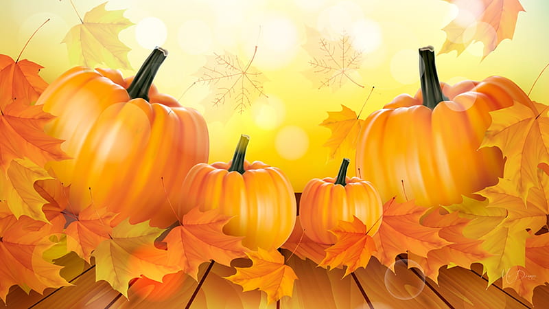Pretty Pumpkins, fall, autumn, leaves, bright, squash, pumpkins, HD wallpaper