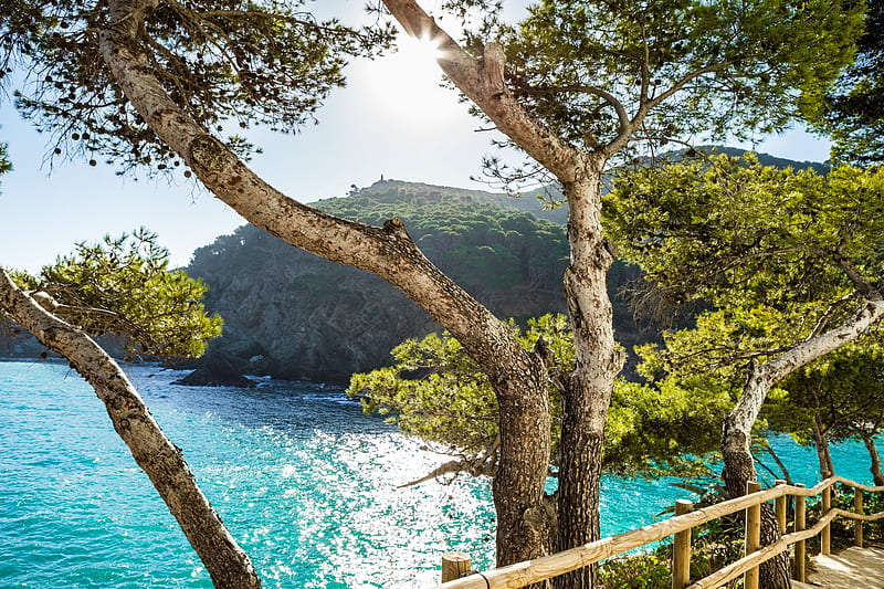 Costa Brava, view, bonito, Spain, lake, sea, water, tree, coast, HD wallpaper