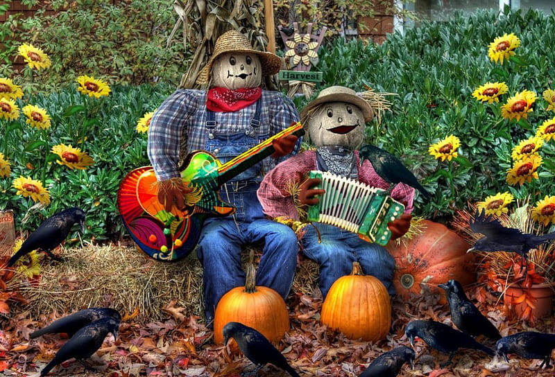 JAMMING FOR THE CROWS, PUMPKINS, GUITAR, MUSIC, SCARECROWS, ACCORDION, BIRDS, FLOWERS, CROWS, HD wallpaper