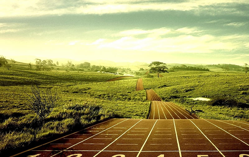 marathon track, track, marathon, grass, field, HD wallpaper