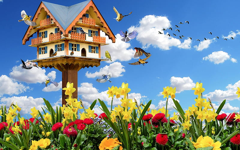 Spring mood birdhouse, birds, clouds, woodpecker, daffodils, HD wallpaper
