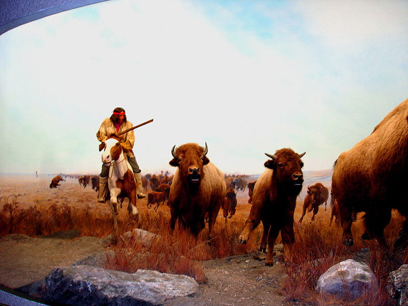 The Bison Hunters, art, indians, native american, HD wallpaper