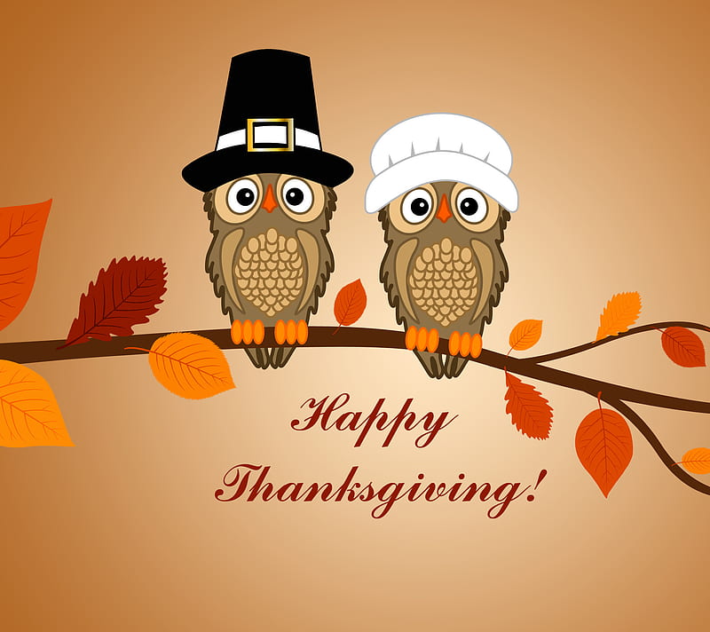 Happy Thanksgiving, autumn, fall, hats, leaves, owls, HD wallpaper