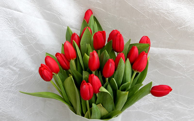 red tulips, beautiful bouquet, spring flowers, tulips, bouquet of red flowers, spring bouquet, HD wallpaper