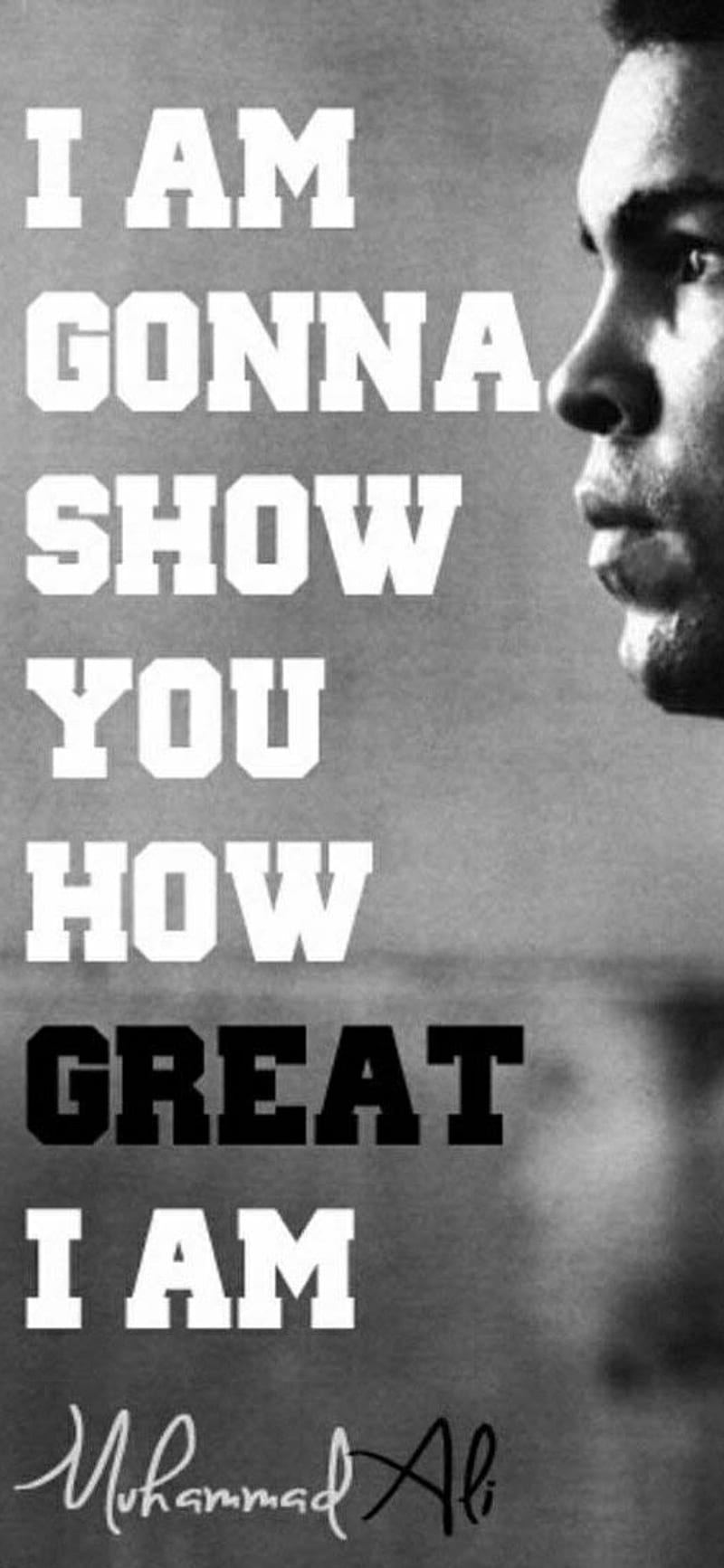 Muhammad Ali, gym, quotes, HD phone wallpaper