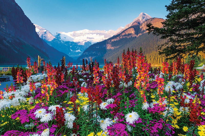 Flowery Mountains, forest, colorful, trees, lake, snow, mountains, flowers, nature, landscape, HD wallpaper