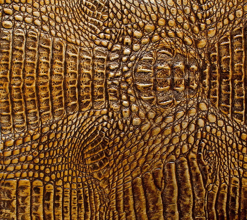 Green crocodile leather texture closeup background. Stock Photo by  ©Leonardi 85427656