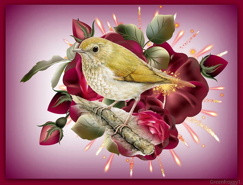 Pajarito y rosas, pájaro, arte, rosas, resumen, Fondo de pantalla HD |  Peakpx