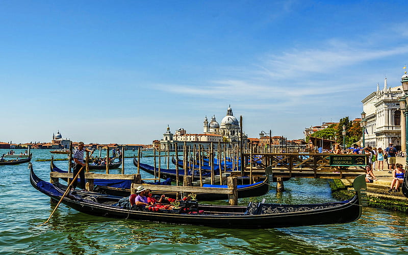 Venice, Grand Canal, gondolas, summer, Italy, Europe, italian cities, Venice at summer, HD wallpaper
