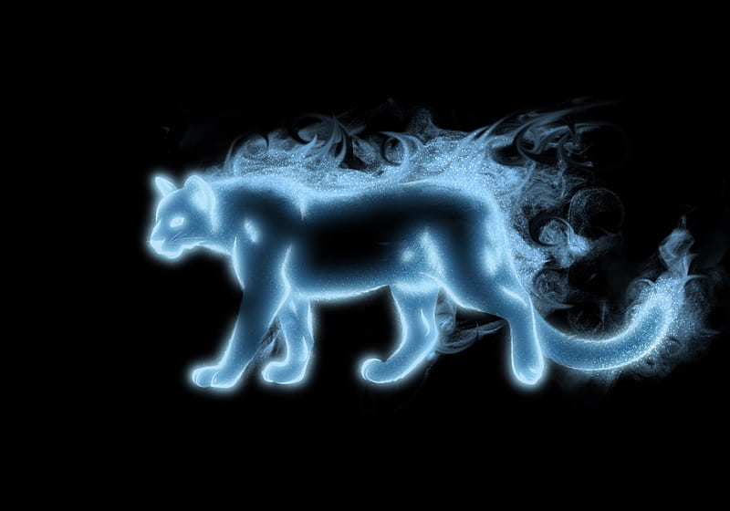 Mountain lion, spirit, fantasy, luminos, black, tribalchick101, animal,  blue, HD wallpaper | Peakpx