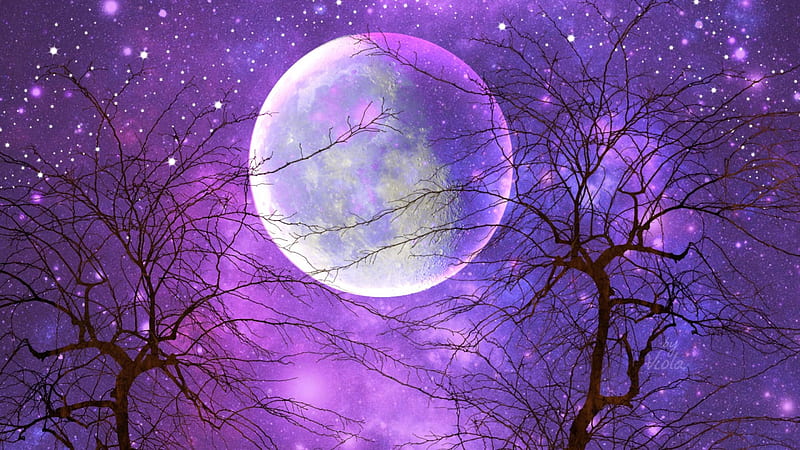 Moonlight and Stars, stars, Viola Tricolor, art, romantic, desenho, creation, trees, moon, purple, moonlight, dream, night, HD wallpaper