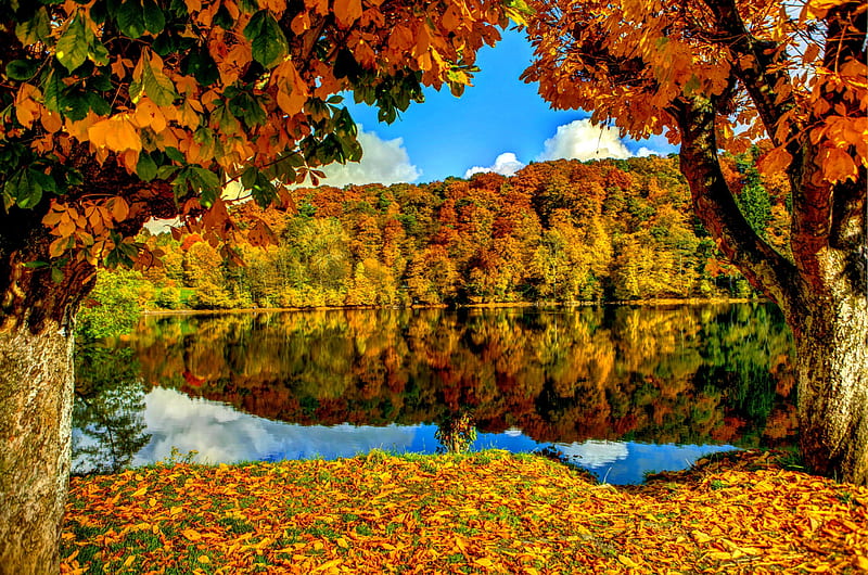 PEACEFUL AUTUMN, forest, calm, Seasons, Autumn, lake, Nature, HD ...