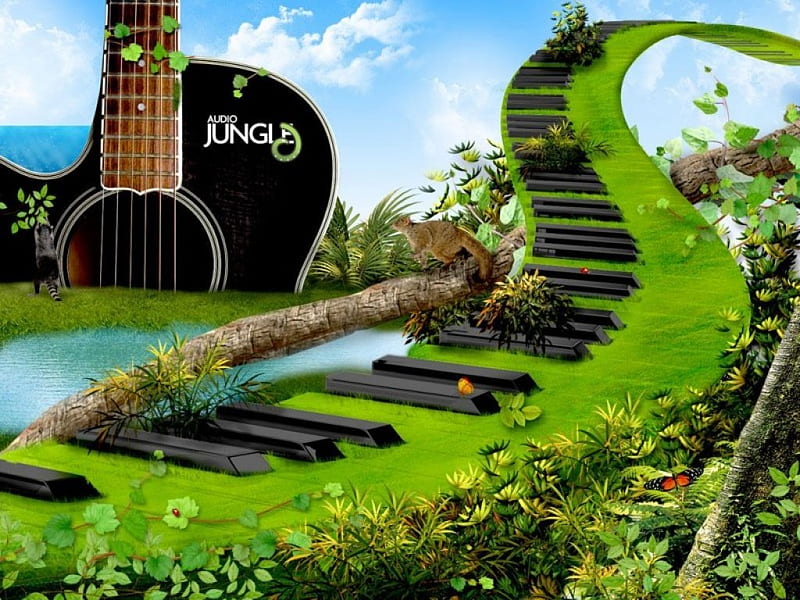 Audio Jungle , fantasy, music, jungle, keyboard road, audio, guitar mountain, HD wallpaper
