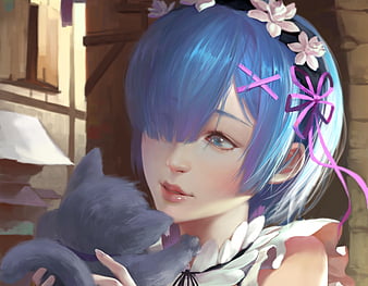 HD cat-rem wallpapers | Peakpx