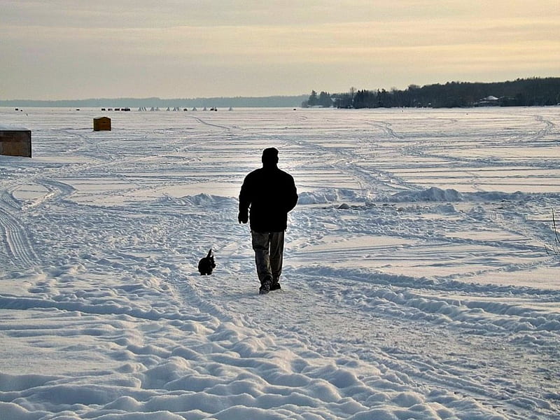 walking the dog, ice, man, snow, dog, HD wallpaper