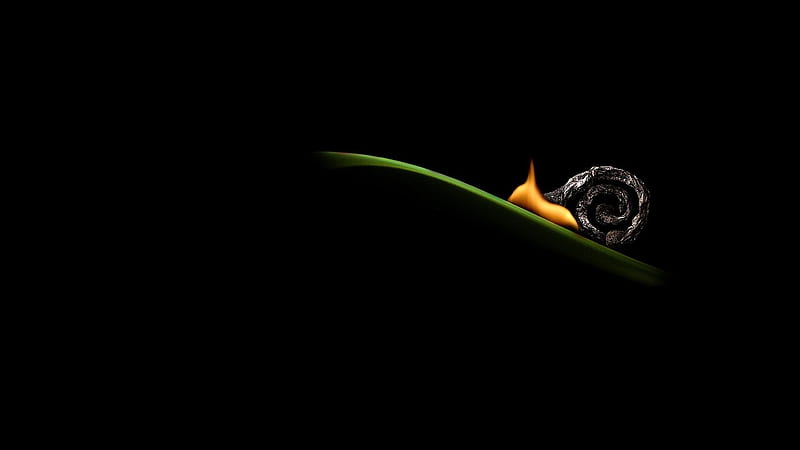 :-), fire, fantasy, orange, green, grass, snail, minimalistic, creative, HD wallpaper