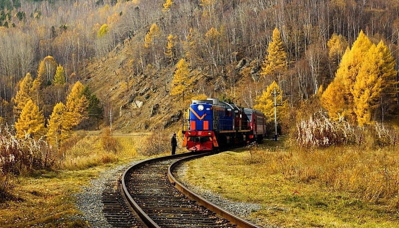 Yellow Autumn, yellow, train, trees, mountains, HD wallpaper