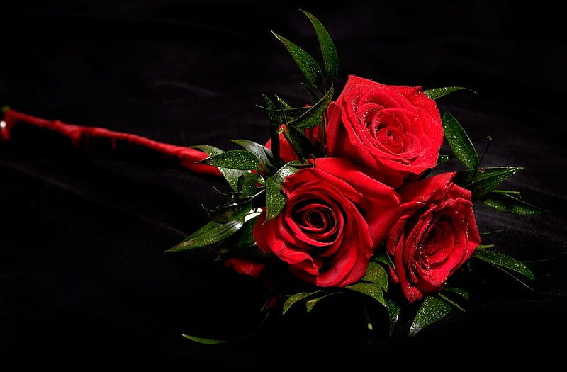 Red Roses, rosu, red, rose, flower, flowers, flori, trandafir, HD wallpaper