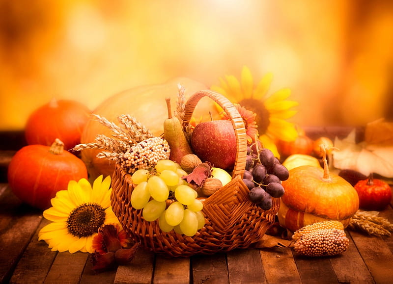 Autumn Still Life, wheat, grapes, still life, fruit, leaves, sunflowers, flowers, wood, corn, apple, walnuts, pear, gourds, nuts, basket, vegetables, pumpkins, HD wallpaper