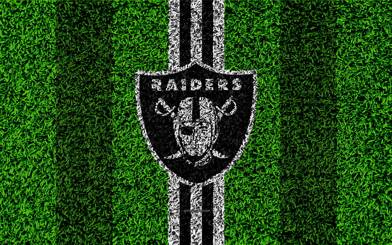 Oakland Raiders, logo grass texture, emblem, football lawn, black and white lines, National Football League, NFL, Oakland, California, USA, American football, HD wallpaper