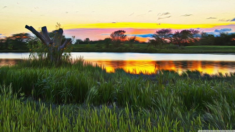Colorful Wetlands, grass, wetlands, color, river, sunset, marsh, HD wallpaper