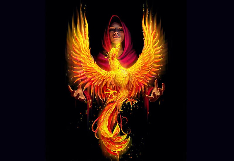 Rising Phoenix, bird, golden, fire, art, girl, digital, HD wallpaper