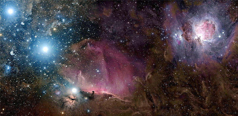 Orion Wide Field, stars, space, nebulae, HD wallpaper