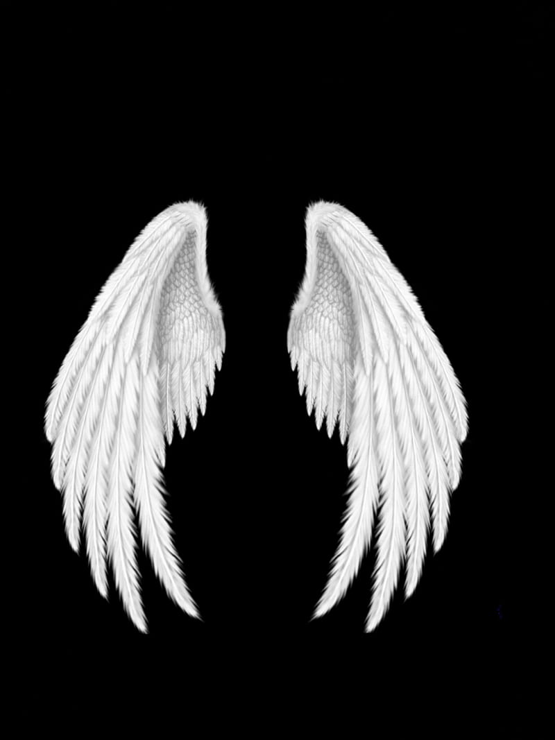 Kanat, angel, wing, HD phone wallpaper | Peakpx