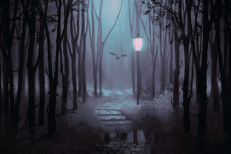 Twilight Flight, Forest, Woods, Eerie, Twilight, Owl, dark, Gothic, Nature, HD wallpaper