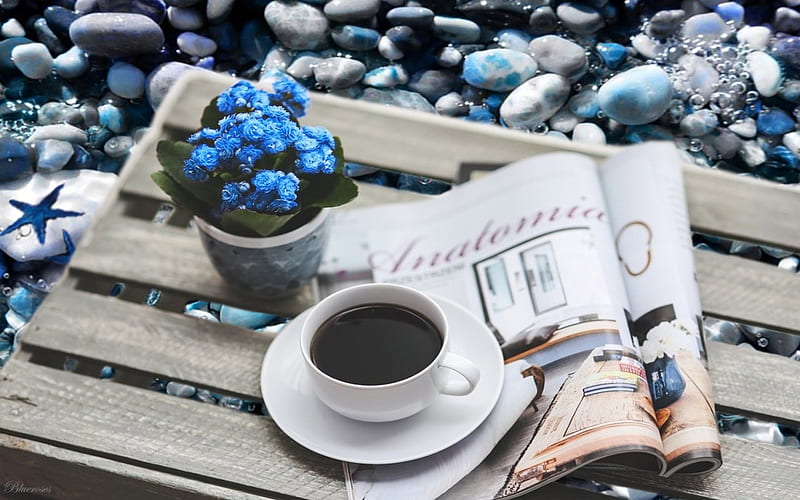 *Coffee in sea breezes*, good morning, cafe, pot, sea, hot, seaside, blue, time, magazine, black, wooden tambours, hq, coffee, cup, flower, summer, day, blue pebbles, blue starfish, HD wallpaper