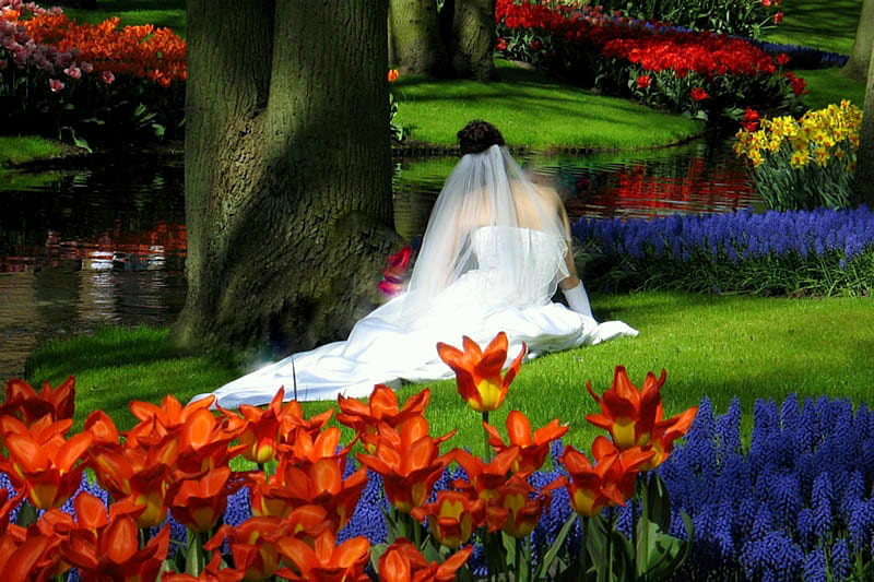 Runaway Bride, grass, wedding dress, veil, creek, trees, woman, bridal gown, brunette, water, flowers, garden, HD wallpaper