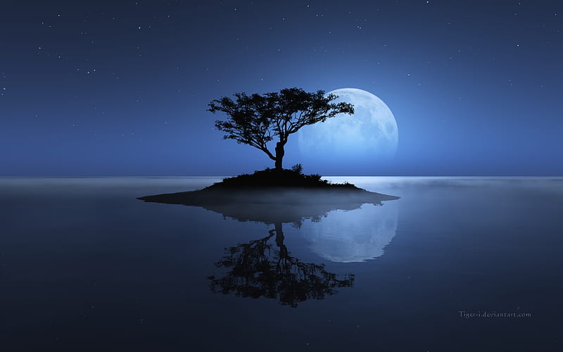 Water, Trees, Stars, Night, Moon, Reflection, Tree, Earth, Island, HD wallpaper