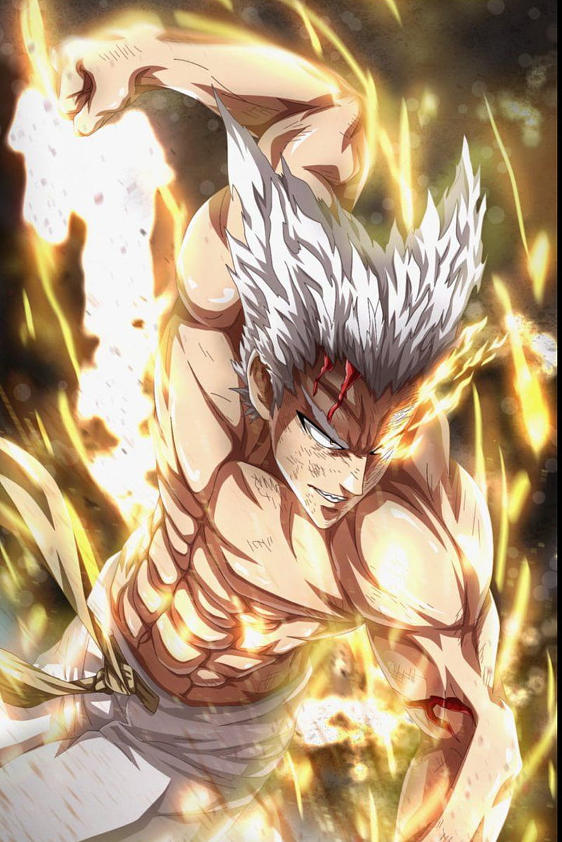 Garou, anime, one punch man, opm, HD phone wallpaper | Peakpx