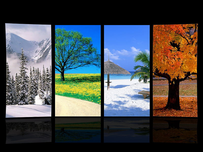 Four Seasons, autumn, summer, nature, spring, 4 seasons, winter, HD wallpaper