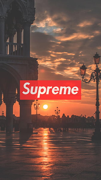 SUPREME, white, oso panda, parisred, HD phone wallpaper