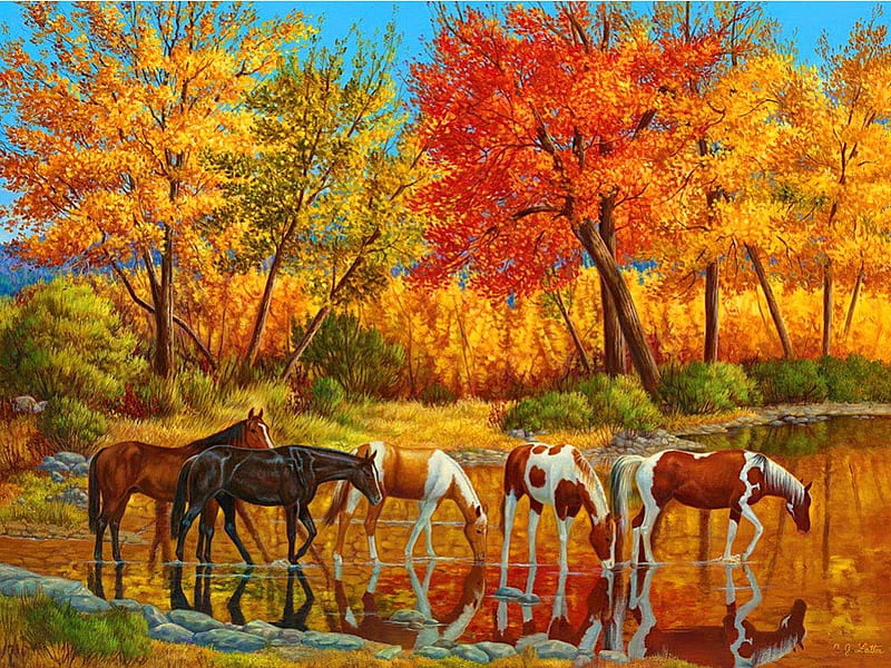 Fall kaleidoscope, fall, colorful, autumn, falling, bonito, foliage, leaves, nice, kaleidoskope, bunch, painting, river, art, calmness, lovely, colors, seson, trees, horses, kaleidoscope, serenity, nature, field, HD wallpaper