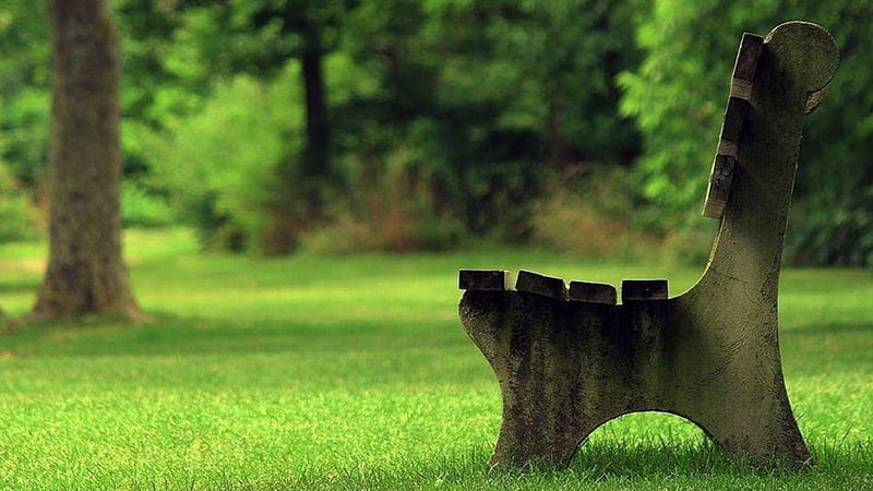 please sit, tree, nature, chair, seat, HD wallpaper