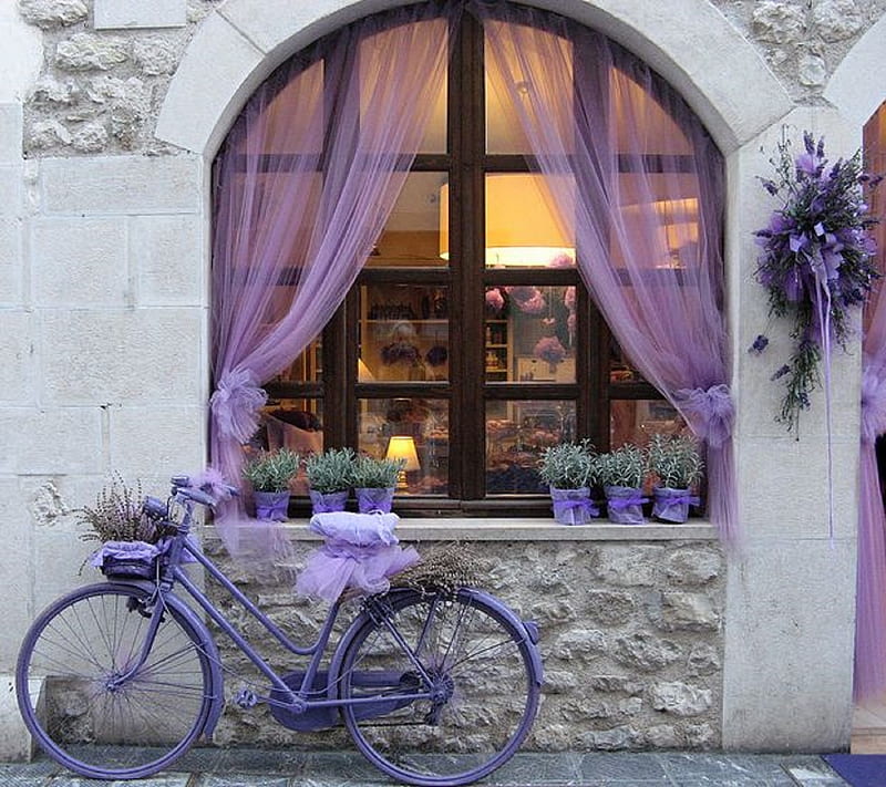 lavender cycle, flowers, love, HD wallpaper