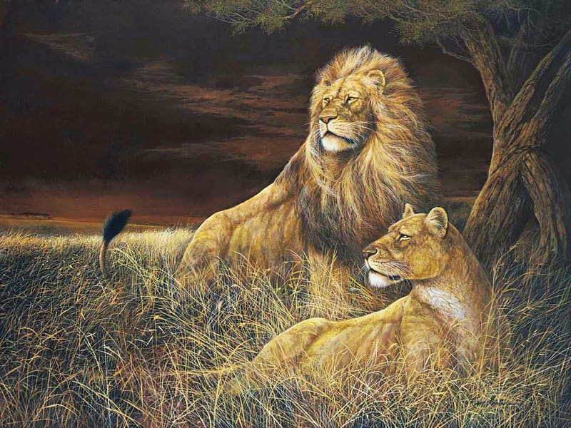 Winds of the Serengeti, tree, lions, night, artwork, painting, pair, HD wallpaper