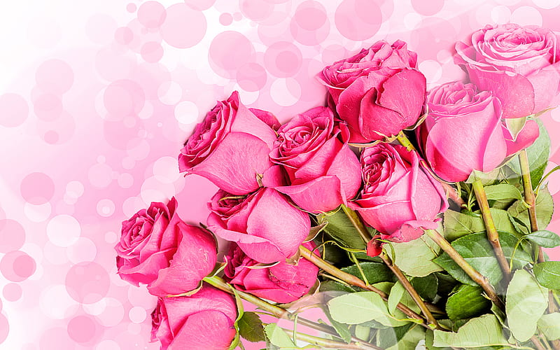 purple roses bouquet, pink flowers, macro, purple flowers, close-up, roses, pink bouquet, HD wallpaper