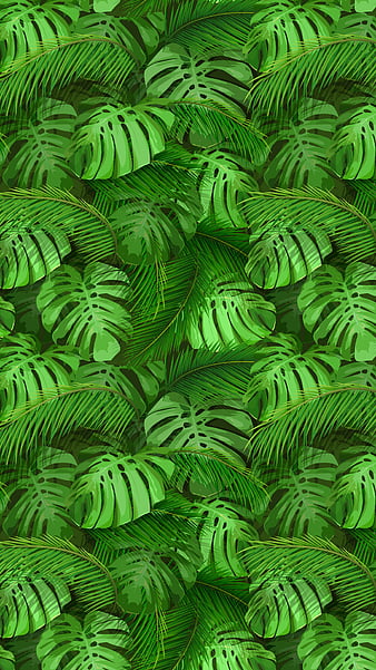 Green Leaves for Background and Wallpaper. Stock Image - Image of fantasy,  dark: 178002491