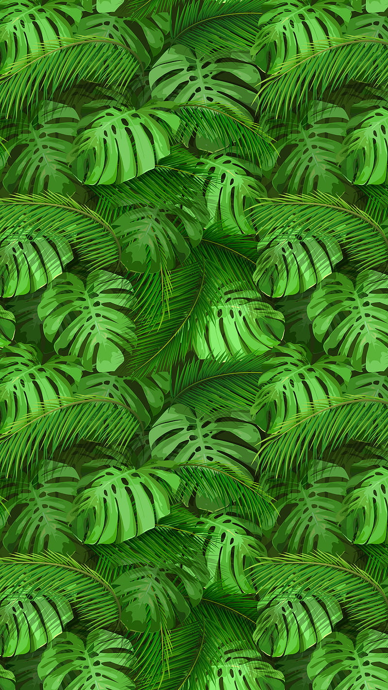 Tropical Palm, leaf, plant, HD phone wallpaper