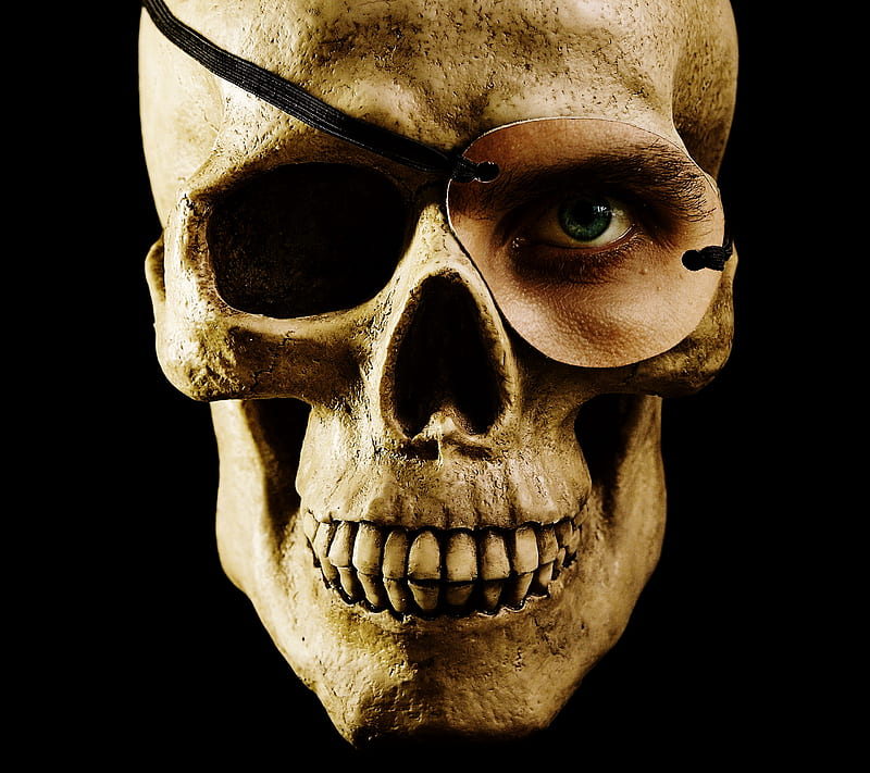 Skull Eye, bone, skeleton, HD wallpaper
