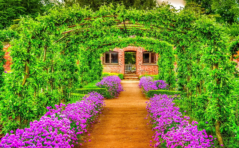 Tunnel, house, flowers, trees, HD wallpaper